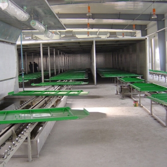 Pallet Conveyer line